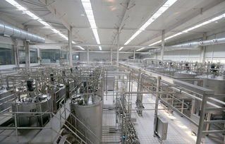 三元酸奶过期未变质 公司 保质期取决于微生物